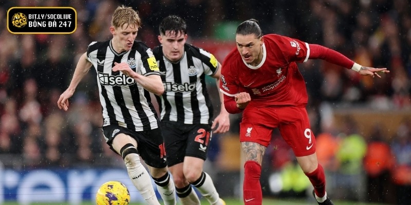 Phong độ thi đấu giữa hai đội Newcastle United vs Liverpool